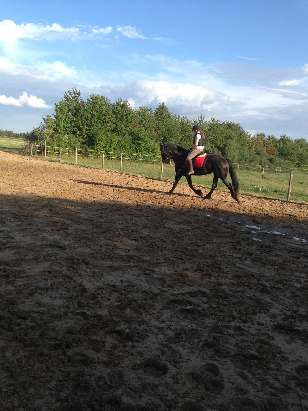 Frieser Karstina billede 8