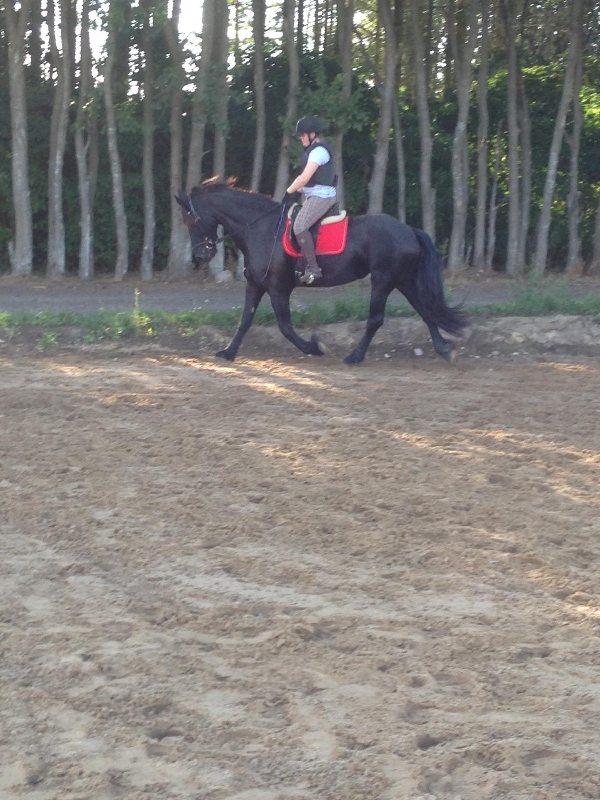 Frieser Karstina billede 9