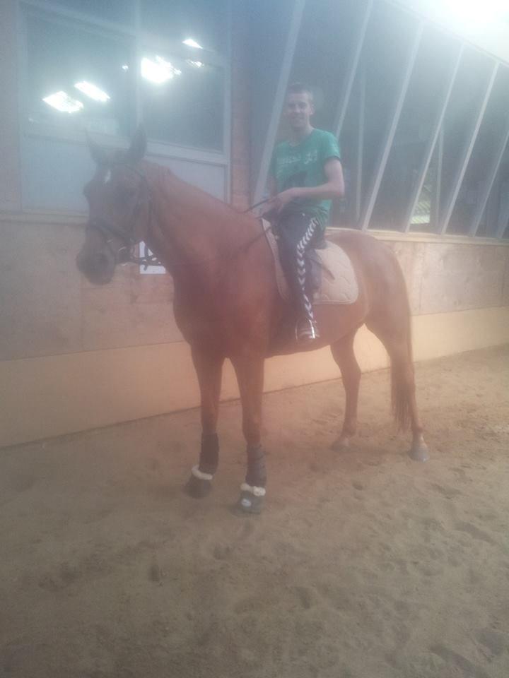 Dansk Varmblod Maxin - Kæresten sku da også lige ha en tur ;) billede 15