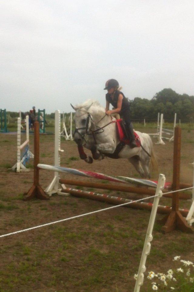 DSP nordenhøjs freja billede 6