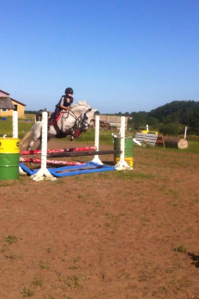 DSP nordenhøjs freja billede 8