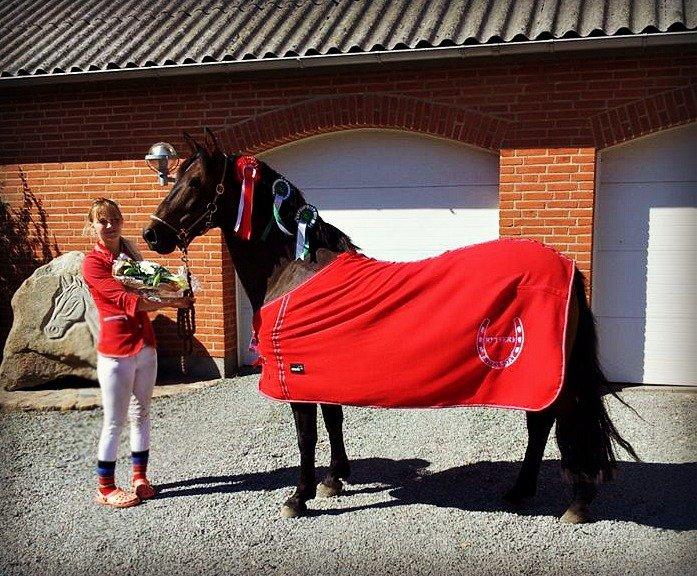 Hollandsk Sportspony JOLANDA SOLGT <3 - Vandt Aulum Spring Derbyet 2013 for ponyer.
Hun leverede også 4x0 runder hele stævnet igennem og hold op hun var i sit bedste den weekend:) hun fik også taget to tredje pladser hjem:)
05/02/2013 billede 10