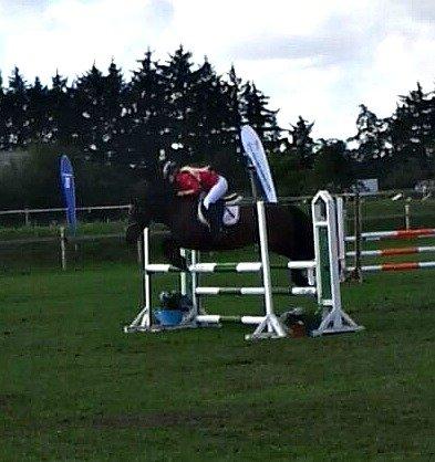 Hollandsk Sportspony JOLANDA SOLGT <3 - Undskyld kvalitet ;)
Her sidste spring i Mb med nulfejl  2013
 billede 11