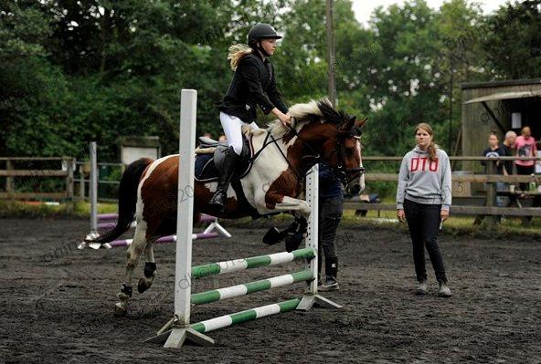Pinto | Brogårdens Midtnight | - Marie og Midtnight til stævne på Lundtofte Rideklub 2013 billede 1