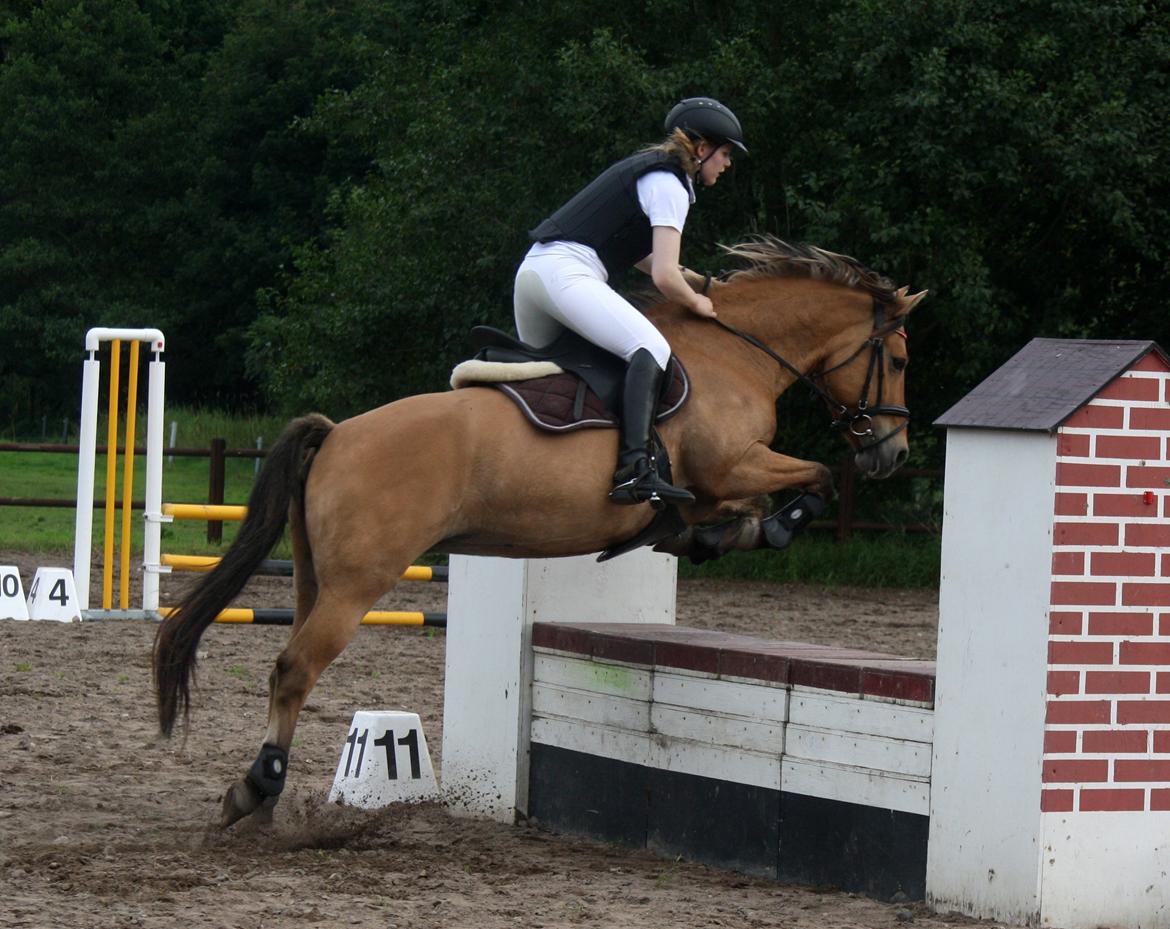 Anden særlig race Lady<3 - LC i RSR 2012 - 3. plads!<3 billede 2