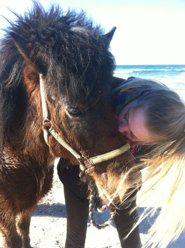 Islænder Vigdis fra Frederiksdal billede 1