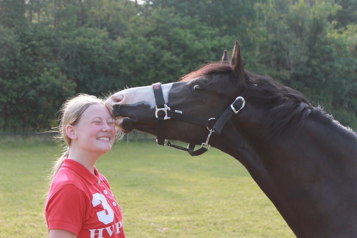 DSP Principal Touch billede 26