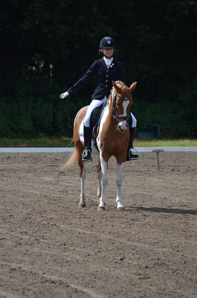 Anden særlig race Trebjerregårds Grand Manier - Vi ses! billede 30