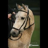 Anden særlig race Bianca