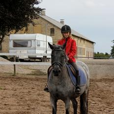 Anden særlig race scarlett