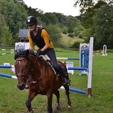 New Forest Enggårdens Conrad