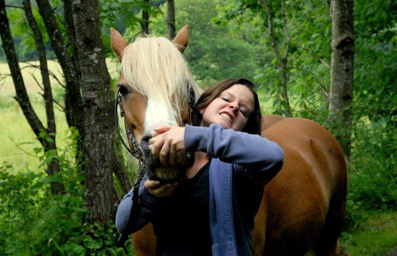 Haflinger Prins Hans -  | 11 | Se mod lyset, så falder skyggerne bag dig. billede 11