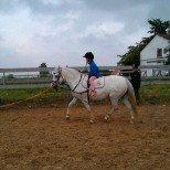 Welsh Mountain (sec A) Nelly - Vores kusine På 4 år traver billede 18