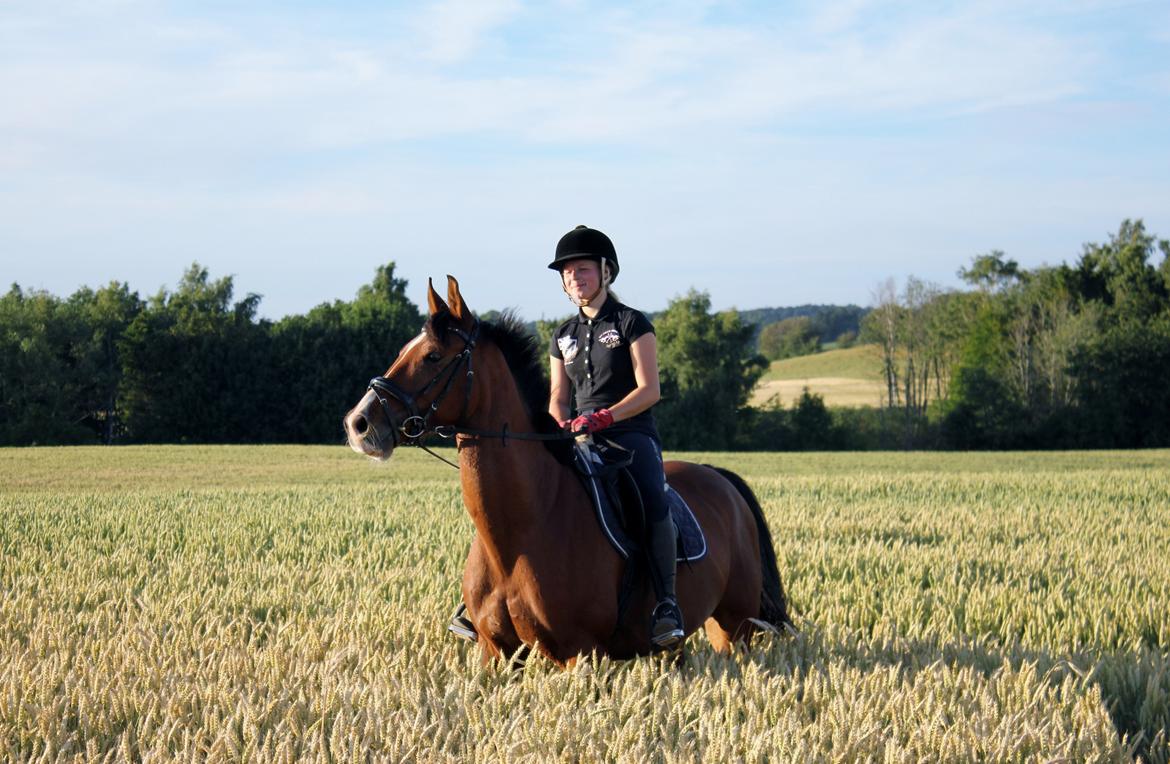 Anden særlig race Freeman - Tak fordi i kigget med ;) | Foto: Melissa Kamper billede 19