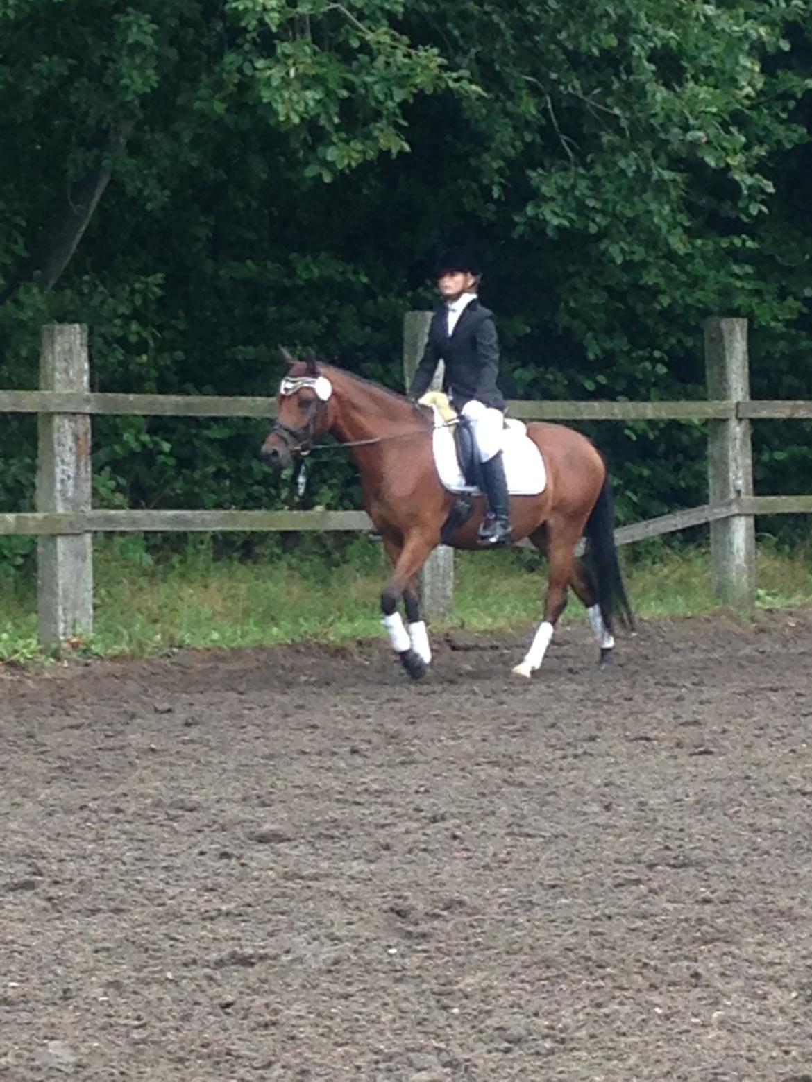 DSP De Bello billede 1