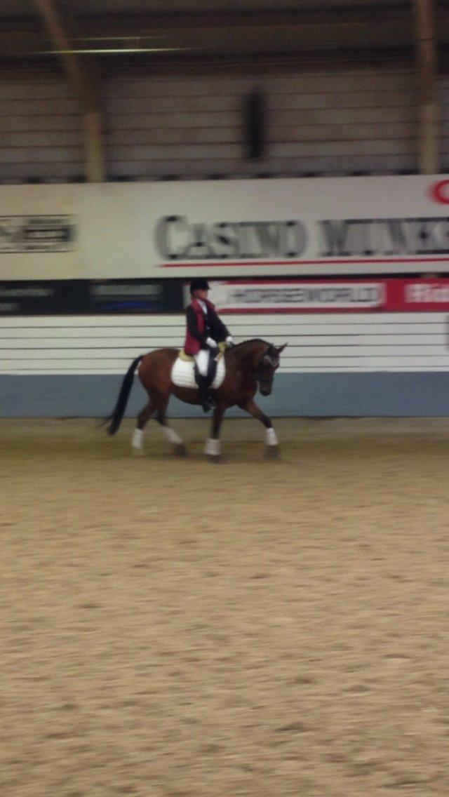 DSP De Bello billede 3