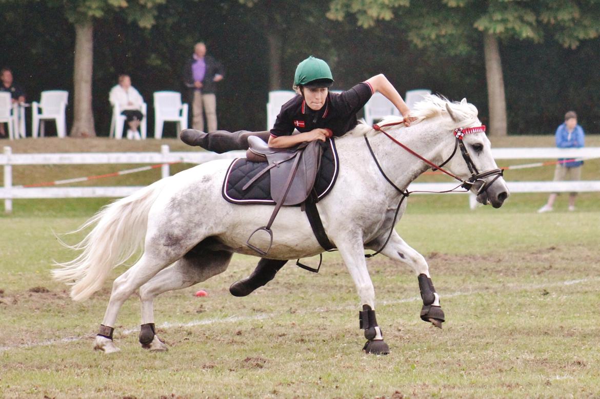 Anden særlig race Zoffi Games Pony <3 - World Individual Championship 2013 billede 2