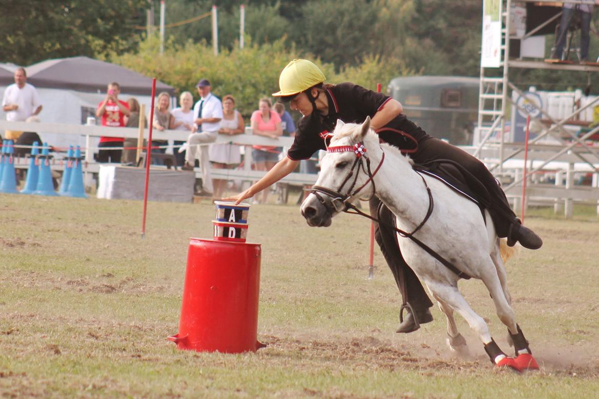 Anden særlig race Zoffi Games Pony <3 - World Individual Championship 2013 billede 13