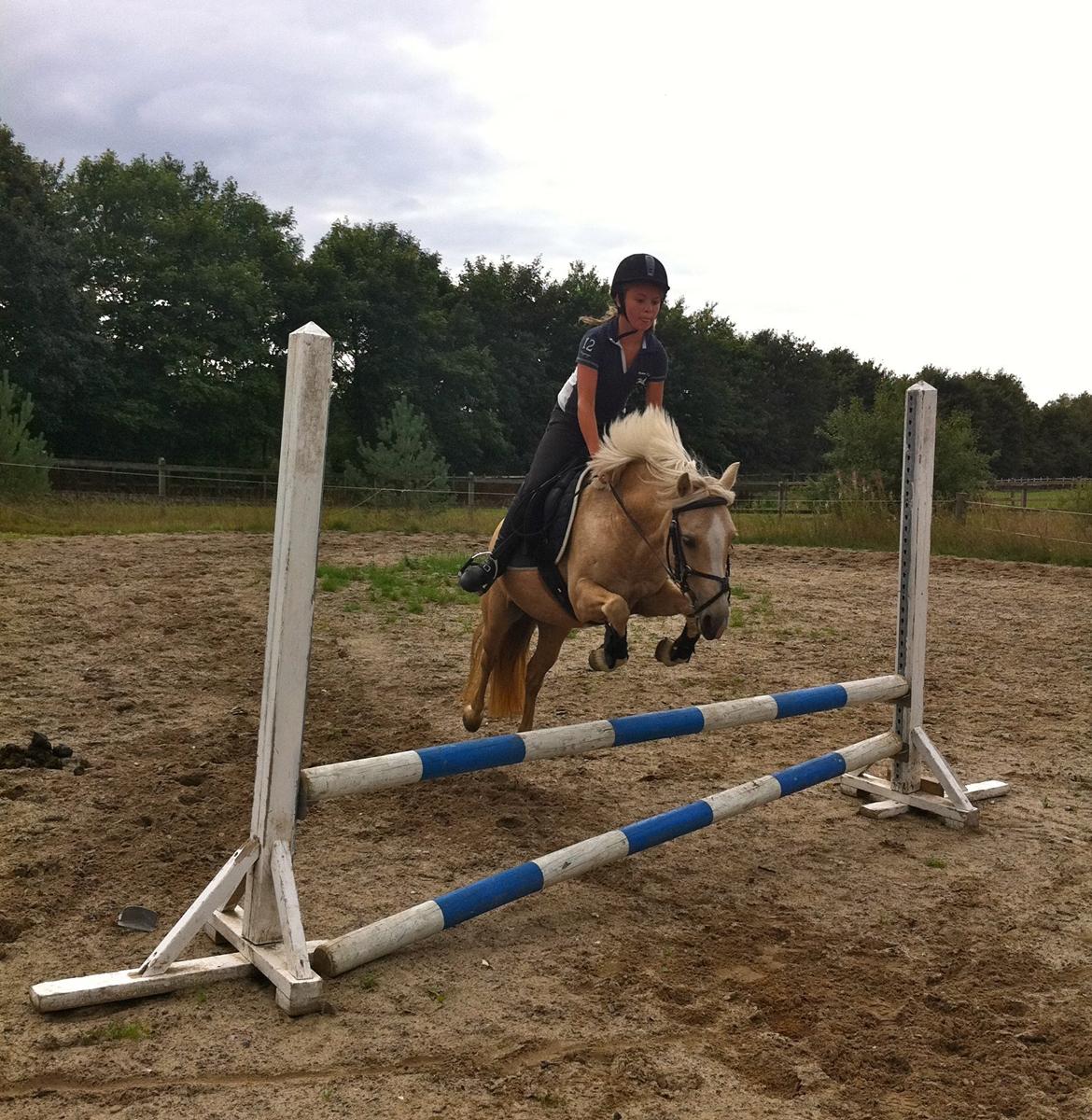 DSP Maygårdens Gaia SOLGT - August 2013 billede 18