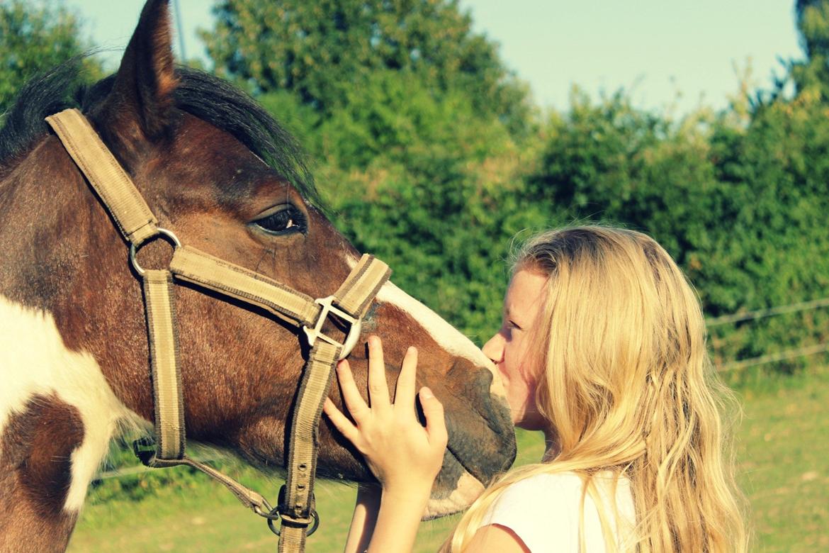 Anden særlig race Jack (savnet) - Min aller bedste skat!  billede 5