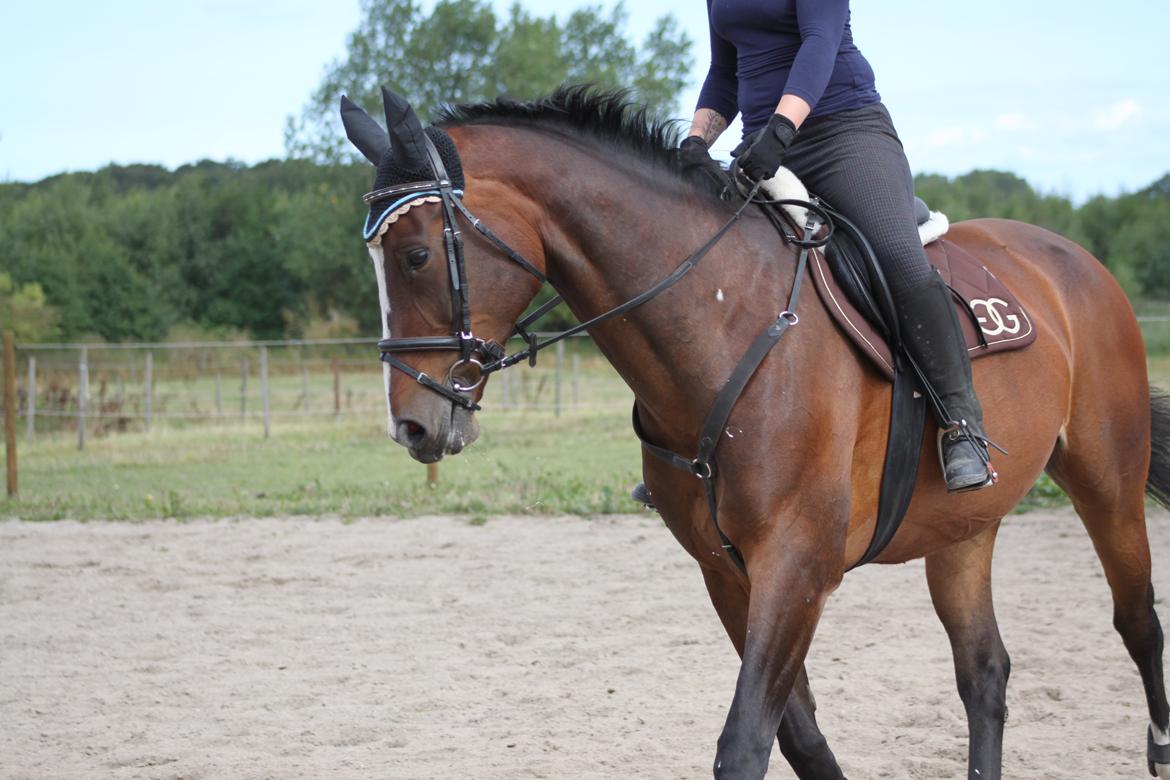 Oldenborg Fie billede 6