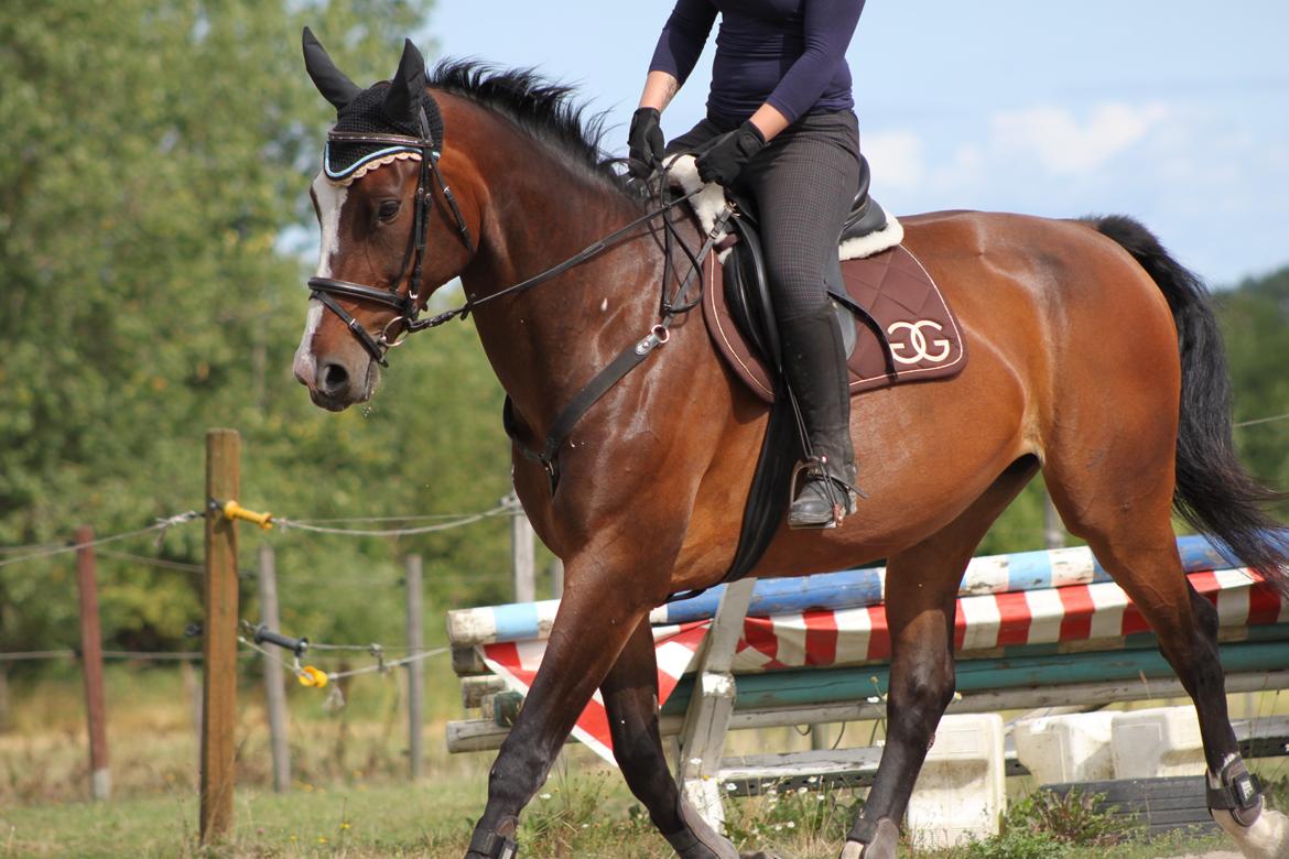 Oldenborg Fie billede 7