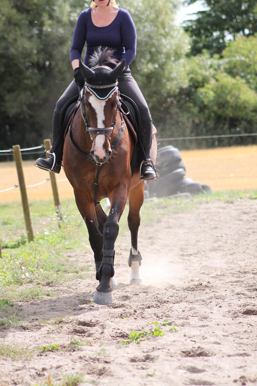 Oldenborg Fie billede 12