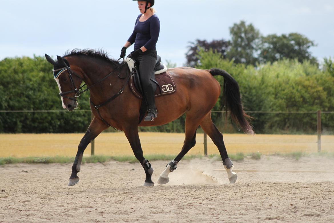 Oldenborg Fie billede 16