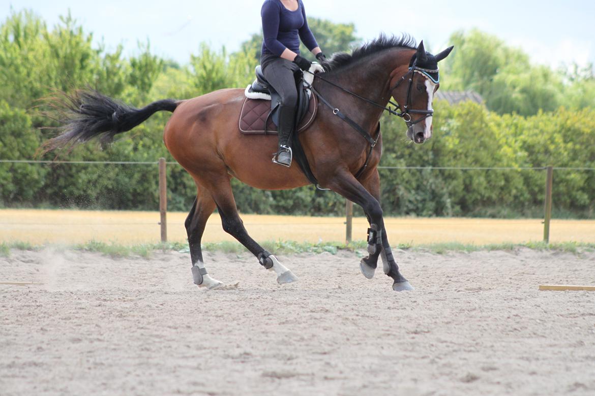 Oldenborg Fie billede 19