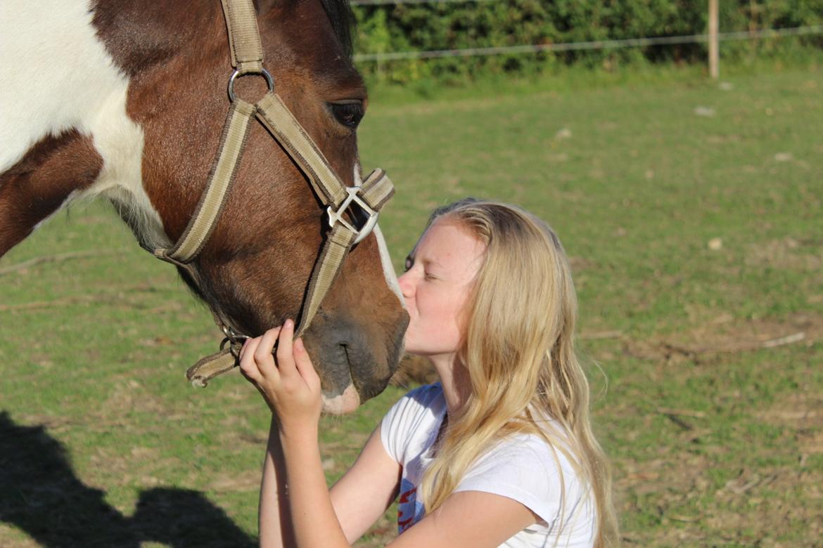 Anden særlig race Jack (savnet) billede 24