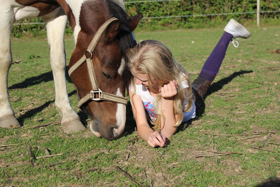 Anden særlig race Jack (savnet) - "Ask me what's my best side, i step back and point at you!" billede 37