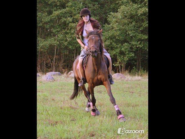 Traver (Opal F.H.) Tana billede 7