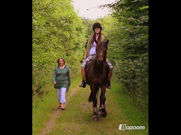 Traver (Opal F.H.) Tana billede 8