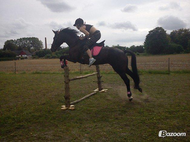 Traver (Opal F.H.) Tana billede 12