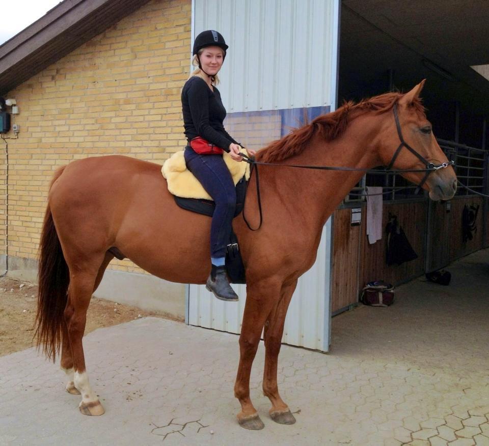 Tysk Oldenburger Immernenz (Bimmer) <3 - d. 17.08.2013 billede 3