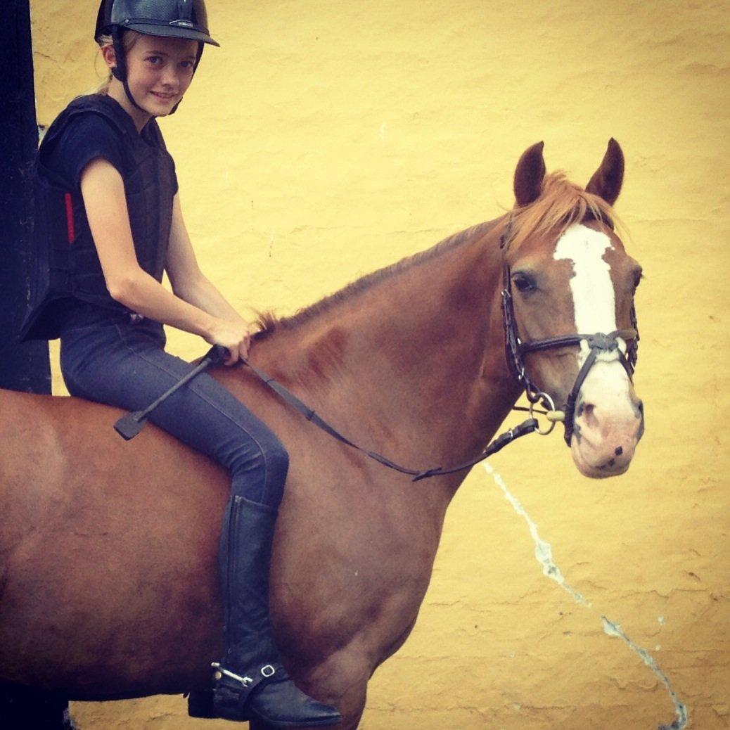 Anden særlig race Misty billede 16