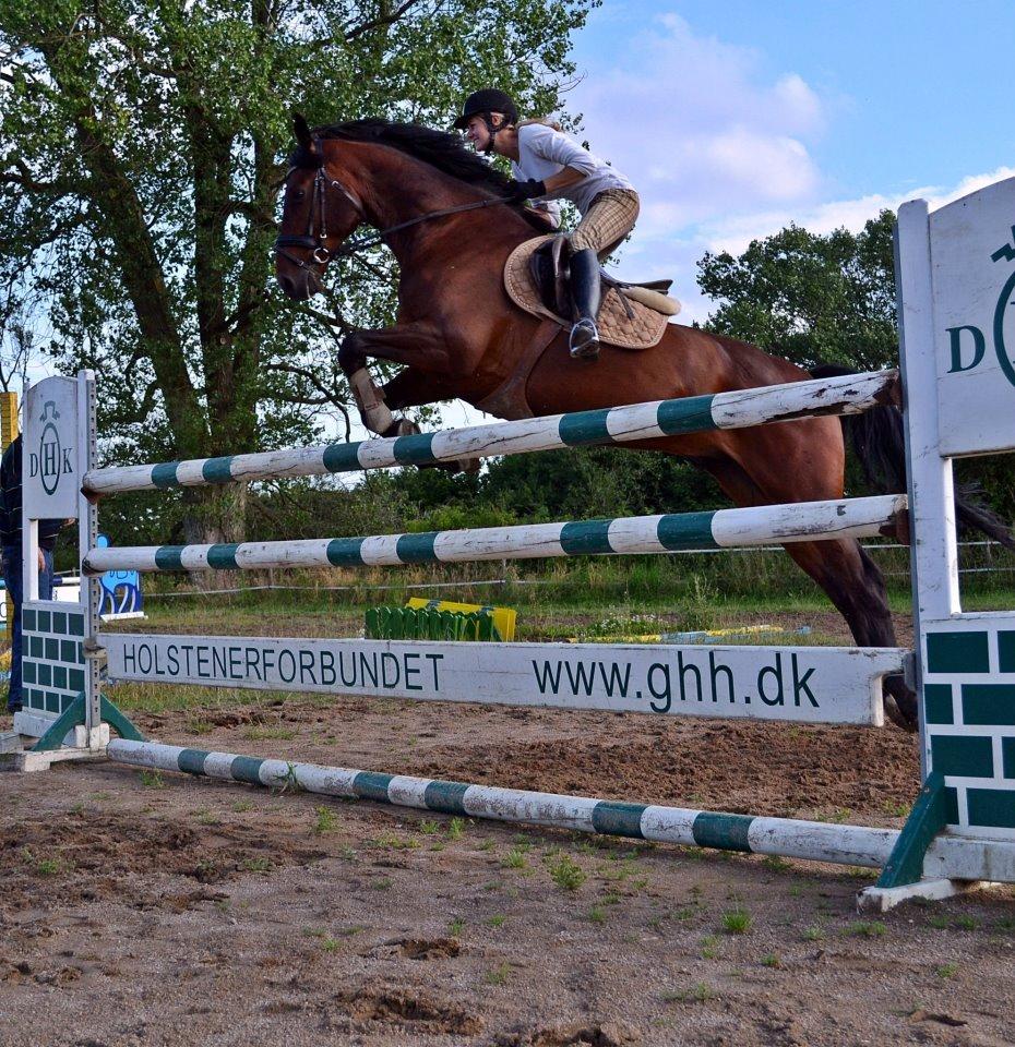 Holstener katrinebjergs Cosmo billede 4