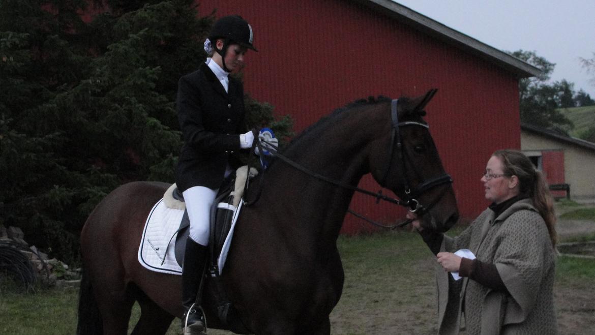 Holstener katrinebjergs Cosmo billede 6