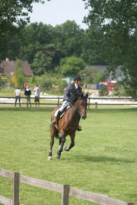 Holstener katrinebjergs Cosmo billede 5