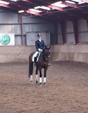 Holstener katrinebjergs Cosmo billede 9