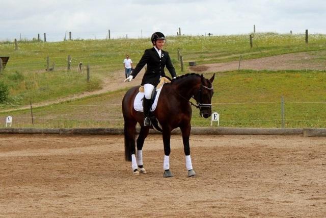 Oldenborg Langmosegårds Cassiopeia billede 9