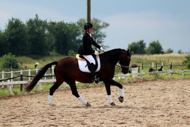 Oldenborg Langmosegårds Cassiopeia billede 6