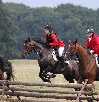 Anden særlig race Miss Fine Bine - Jagt i dyrehaven 18/8 13 billede 12