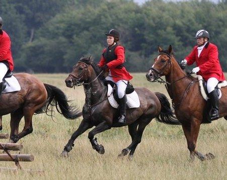 Anden særlig race Miss Fine Bine - Jagt i dyrehaven 18/8 13 billede 8