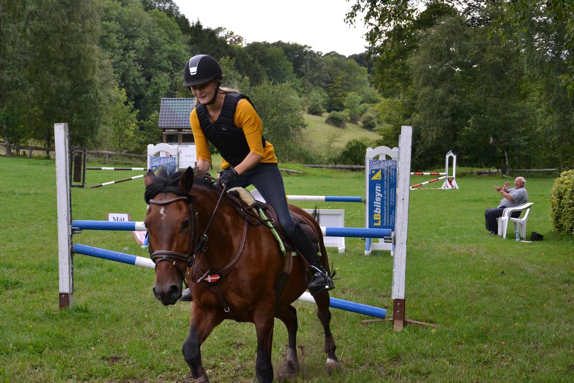 New Forest Enggårdens Conrad billede 1