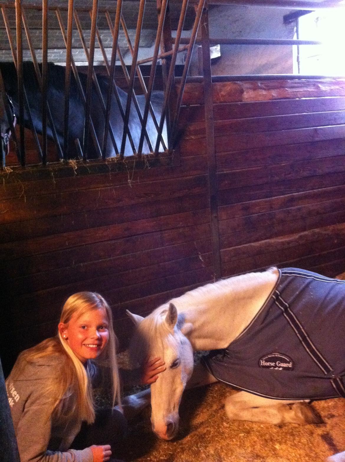 Anden særlig race Duchess (Solgt og mega savnet) <3 - En dag jeg kom ud til Dysse lå hun ned, jeg kunne bare gå hen til hende:) billede 16