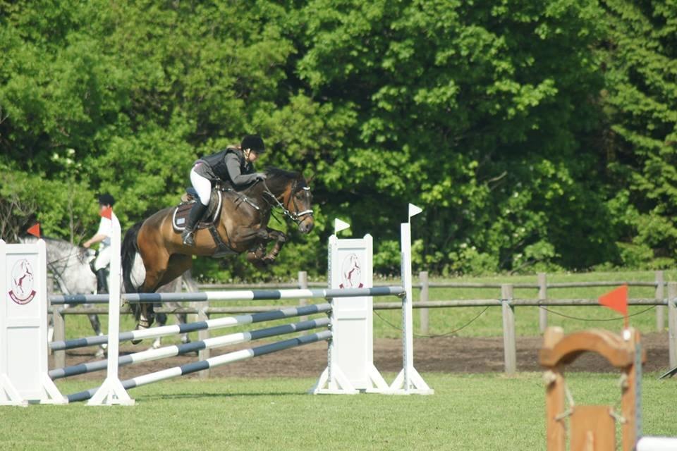 Holstener Contino billede 15