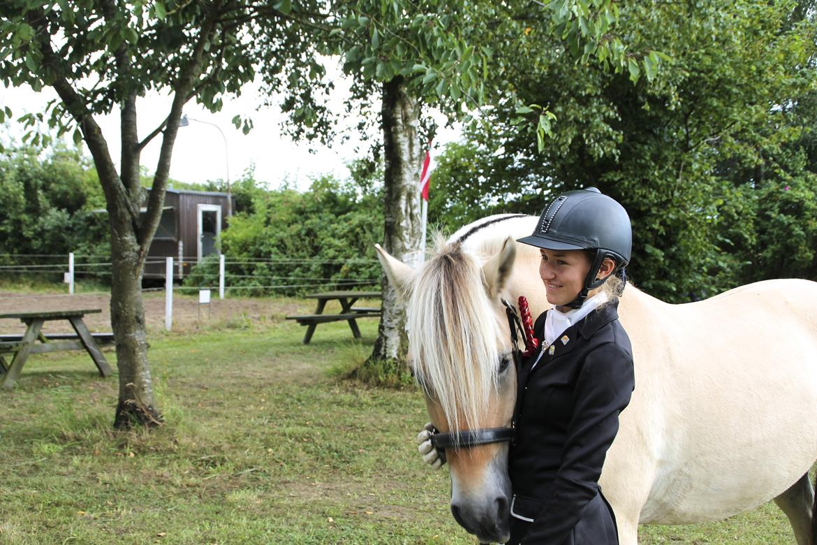 Fjordhest Atlet Bjergby - August 2013 - Første stævne  billede 31