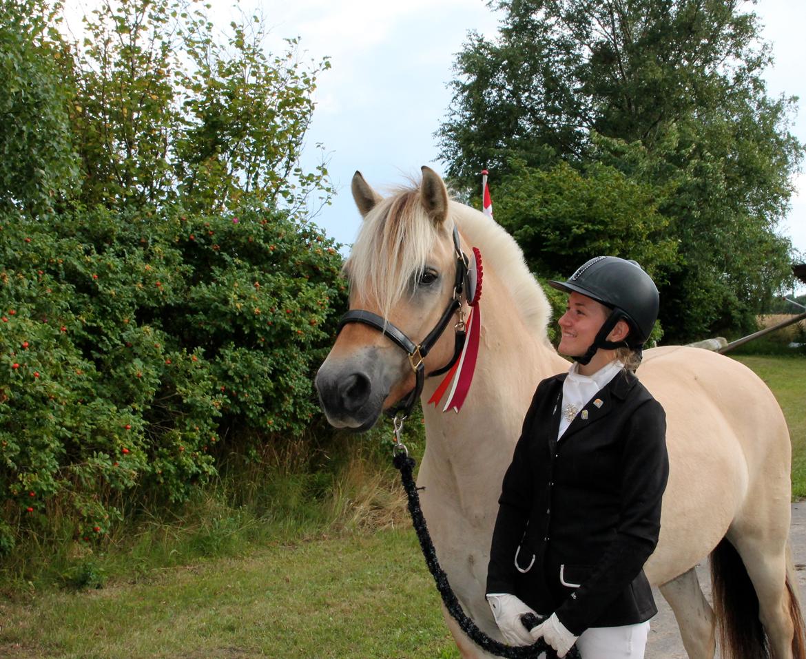 Fjordhest Atlet Bjergby - August 2013 - Første stævne, LC1 - 69,? % billede 13