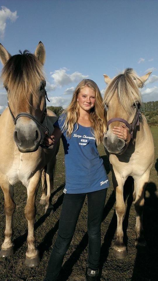 Fjordhest Nikoline billede 9